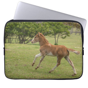 Paaseiland o.b.a. Rapa Nui Laptop Sleeve