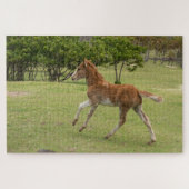 Paaseiland o.b.a. Rapa Nui Legpuzzel (Horizontaal)