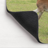 Paaseiland o.b.a. Rapa Nui Muismat (Hoek)