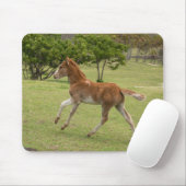 Paaseiland o.b.a. Rapa Nui Muismat (Met muis)