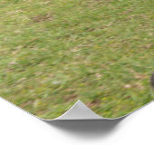 Paaseiland o.b.a. Rapa Nui Poster (Hoek)