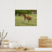 Paaseiland o.b.a. Rapa Nui Poster (Keuken)