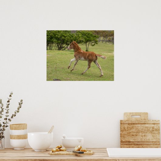 Paaseiland o.b.a. Rapa Nui Poster (Keuken)