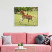 Paaseiland ook bekend als Rapa Nui Canvas Afdruk (Insitu (Woonkamer))