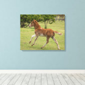 Paaseiland ook bekend als Rapa Nui Canvas Afdruk (Insitu (Houten vloer))