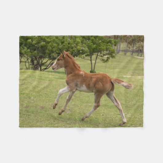 Paaseiland ook bekend als Rapa Nui Fleece Deken (Voorkant (Horizontaal))