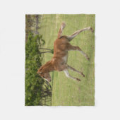 Paaseiland ook bekend als Rapa Nui Fleece Deken (Voorkant)