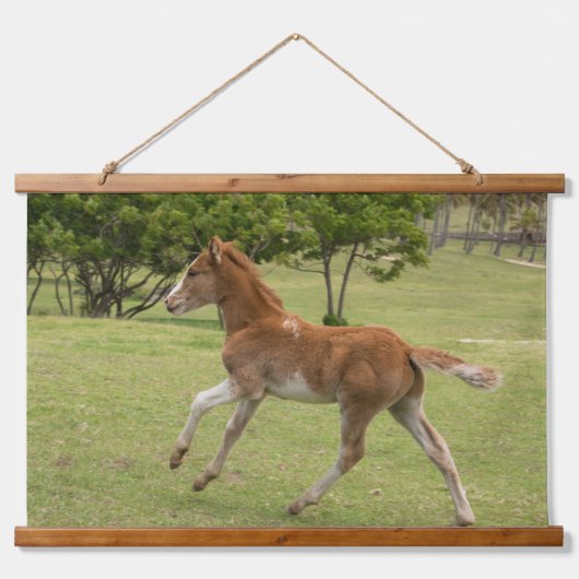 Paaseiland ook bekend als Rapa Nui Hangend Wandkleed (Voorkant)