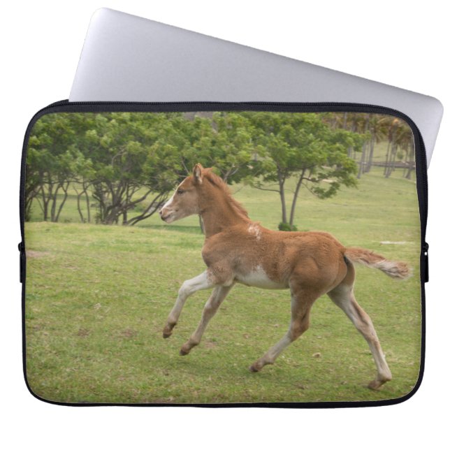 Paaseiland ook bekend als Rapa Nui Laptop Sleeve (Voorkant)