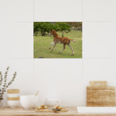 Paaseiland ook bekend als Rapa Nui Poster (Keuken)