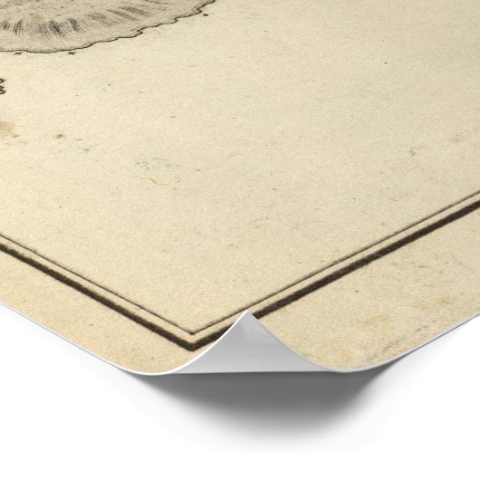 Paaseiland Poster (Hoek)