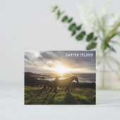 Paaseilanden Paarden Reisfoto Briefkaart (Staand voorkant)