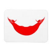 Paaseilandvlag Magneet (Horizontaal)