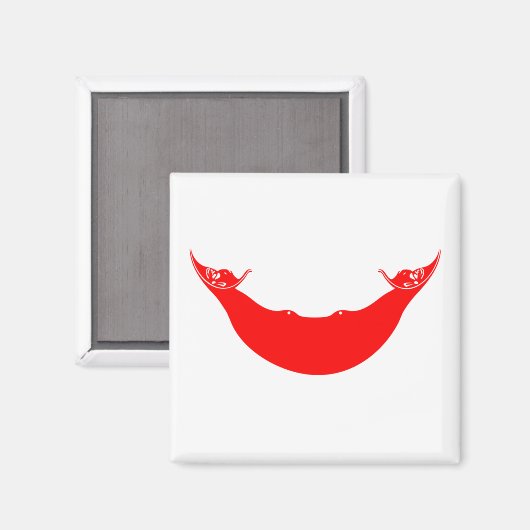 Paaseilandvlag Magneet (Voorkant / Achterkant)