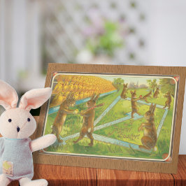 Paasfeest 1912 Konijnen spelen honkbal Feestdagen Kaart