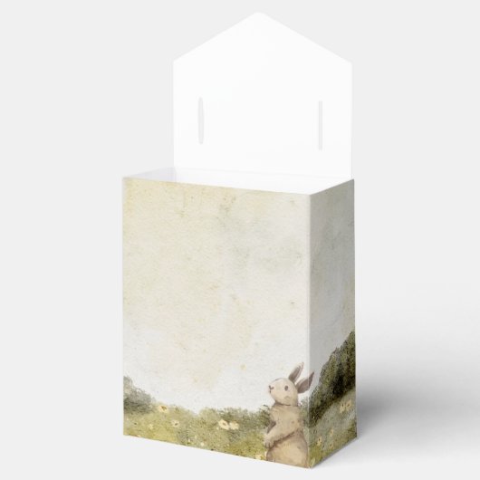  paasfeest gunstboxen bedankdoosjes (Geopend)