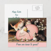 Paasfeest Kittens  Groet Briefkaart (Voorkant / Achterkant)