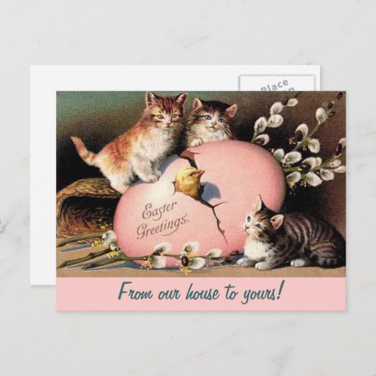 Paasfeest Kittens  Groet Briefkaart (Voorkant / Achterkant)