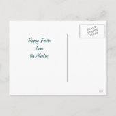 Paasfeest Kittens  Groet Briefkaart (Achterkant)