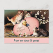 Paasfeest Kittens  Groet Briefkaart (Voorkant)