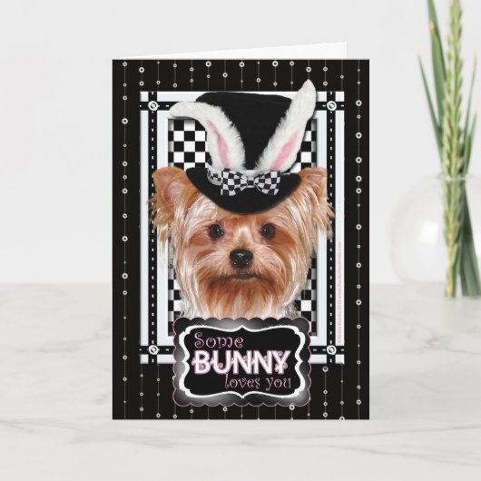 Paasfeest - Some Bunny Loves You - Yorkie Feestdagen Kaart (Voorkant)