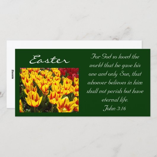 Paasfoto's Bijbelscripts John 3:16 Feestdagenkaart (Voorkant / Achterkant)