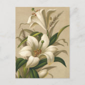  Paasgallen, Victoriaans Bloemen in Bloom Briefkaart (Voorkant)