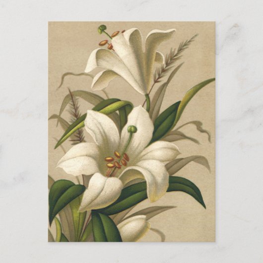  Paasgallen, Victoriaans Bloemen in Bloom Briefkaart (Voorkant)