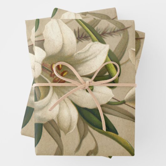  Paasgallen, Victoriaans Bloemen in Bloom Inpakpapier Vel (In situ)