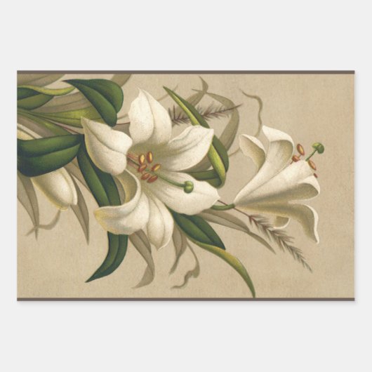  Paasgallen, Victoriaans Bloemen in Bloom Inpakpapier Vel (Voorkant)