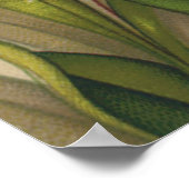 Paasgallen, Victoriaans Bloemen in Bloom Poster (Hoek)