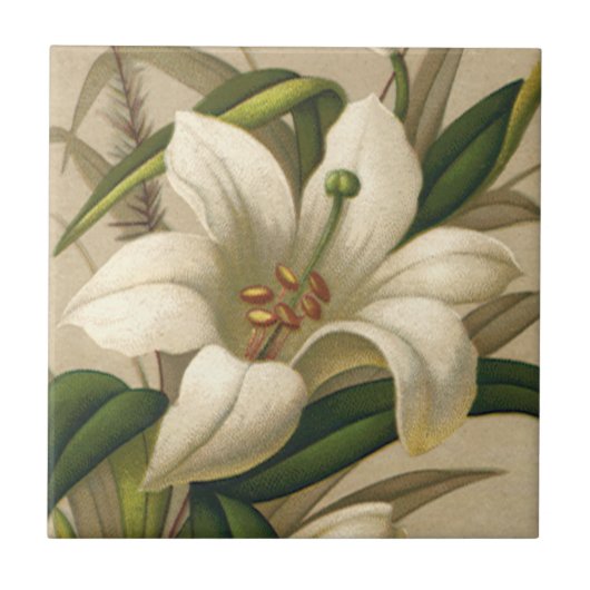 Paasgallen, Victoriaans Bloemen in Bloom Tegeltje (Voorkant)