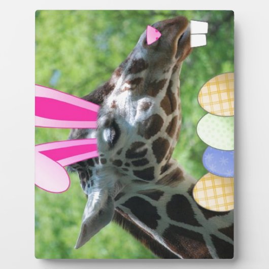 PaasGiraffe Fotoplaat (Voorkant)