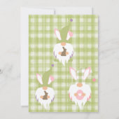 Paasgnomen Groen Baby shower Hartelijk dank Bedankkaart (Achterkant)