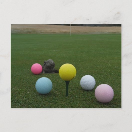 Paasgolf Feestdagenkaart (Voorkant)