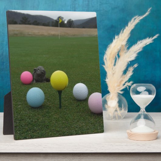 Paasgolf Fotoplaat (Zijkant)