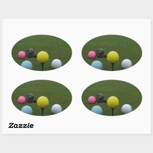 Paasgolf Ovale Sticker (Vel)