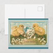 Paasgroet Cute Chick Briefkaart (Voorkant / Achterkant)