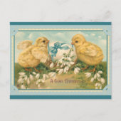 Paasgroet Cute  Chick Briefkaart (Voorkant)