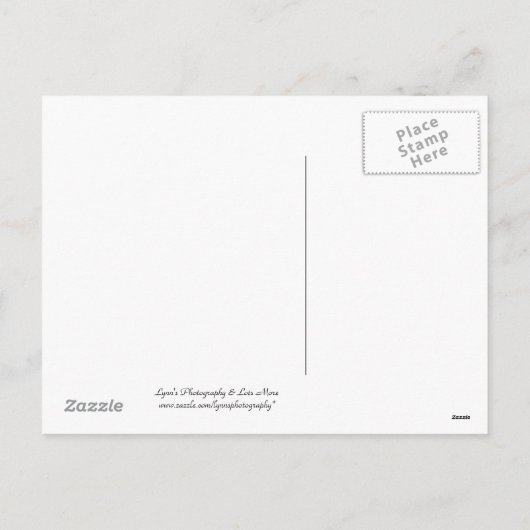 Paasgroeten - Briefkaart (Achterkant)