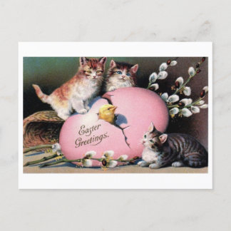  'Paasgroeten' Katten & Kuiken Briefkaart