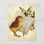  paasgroeten met Baby Chic Briefkaart (Voorkant)