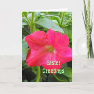 Paasgroeten, Prettig Pasen, rode petunia bloem. Feestdagen Kaart