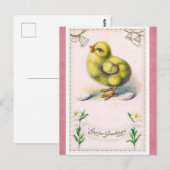  paasgroeten verkuilen lentekker briefkaart (Voorkant / Achterkant)