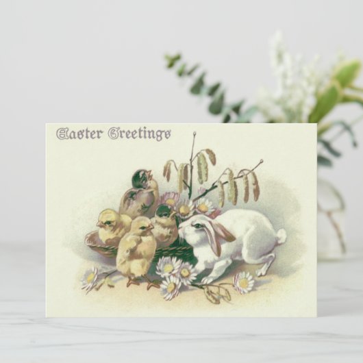 paashaas chick daisy kaart (Staand voorkant)