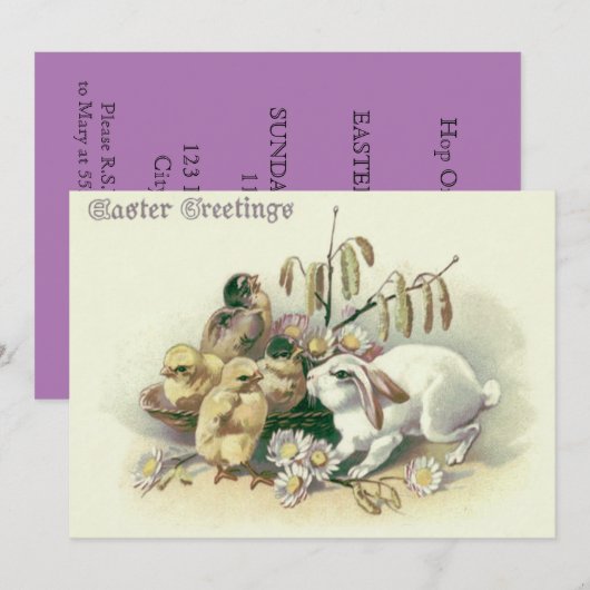 paashaas chick daisy kaart (Voorkant / Achterkant)