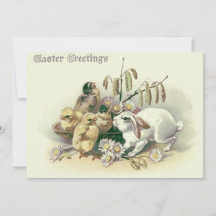 paashaas chick daisy kaart