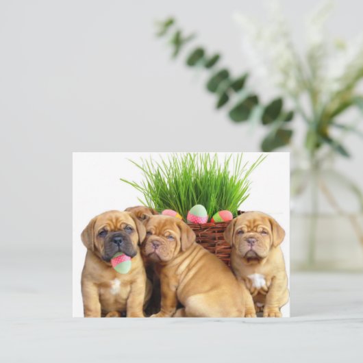 Paashaas de Bordeaux pups Feestdagenkaart (Staand voorkant)