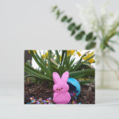 Paashaas Dierenlente Roze Vrede Liefde Feestdagenkaart (Staand voorkant)