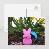 Paashaas Dierenlente Roze Vrede Liefde Feestdagenkaart (Voorkant / Achterkant)